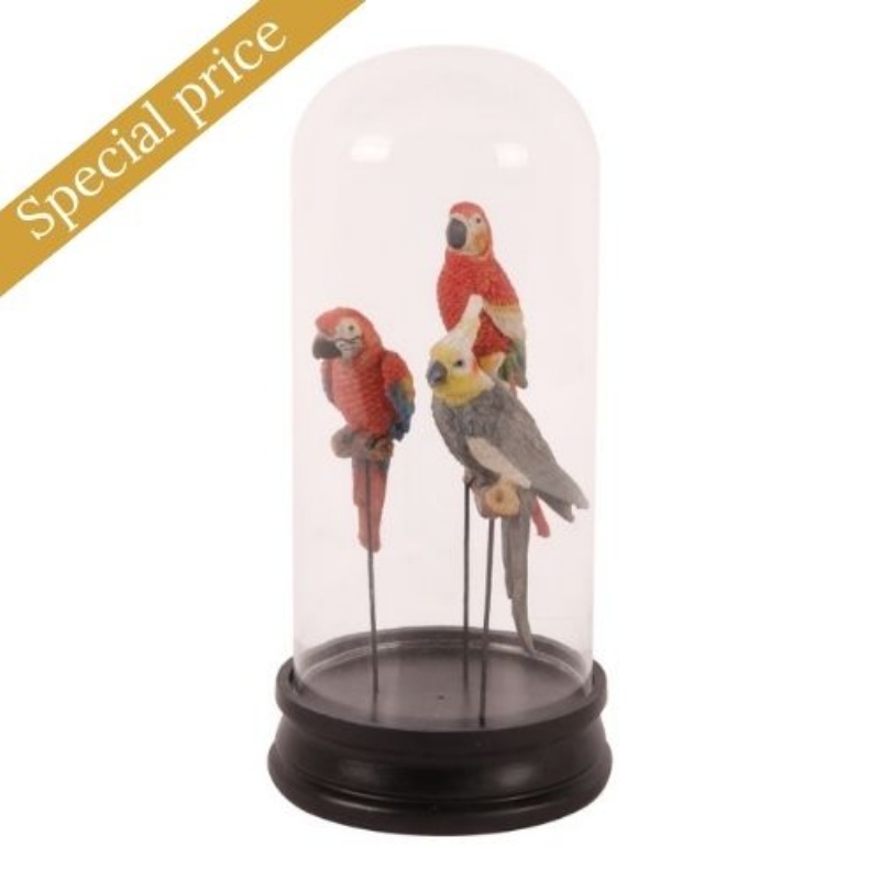 Fig. papegaai met stolp