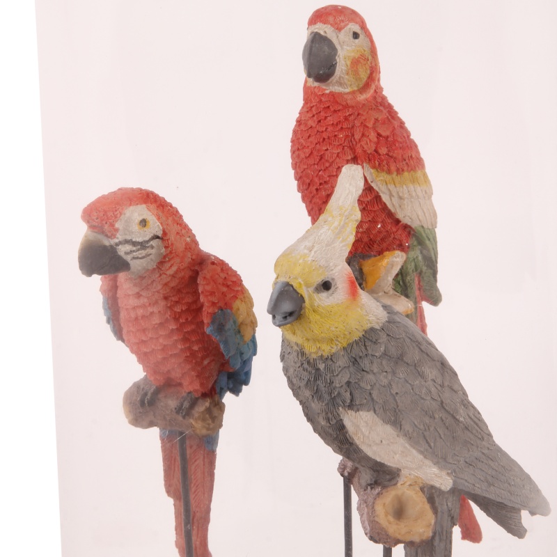 Fig. papegaai met stolp