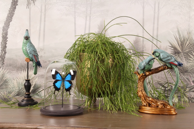 Fig. papegaai resin 26 cm